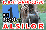 �������� ����������� �������� ALSILOR