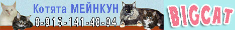   () -   Bigcat ( )