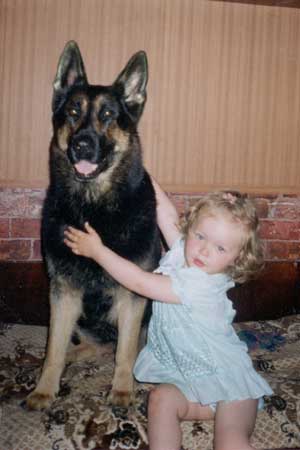 ������-����-����