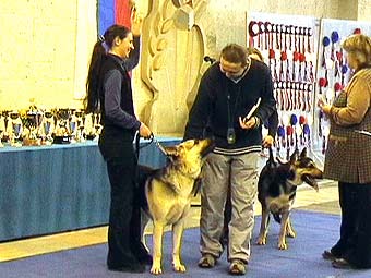 ����������� �������