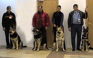 ������ �� ���������� �������� ������ ������-2005�