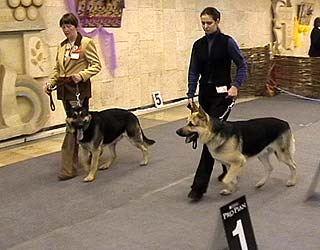 ��������-����������� �������