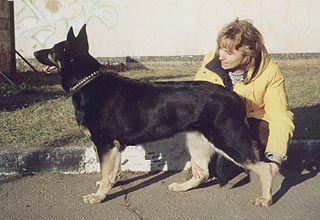 ��������-����������� �������