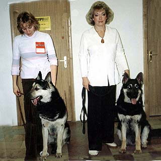 �������� ����������� ������� ����