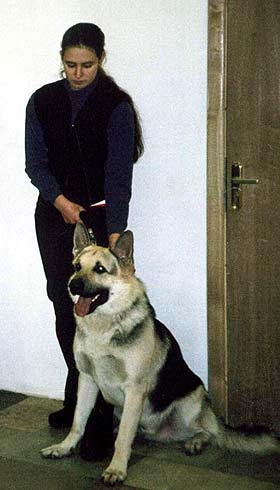 ��������-����������� ������� ������-����-����-�����