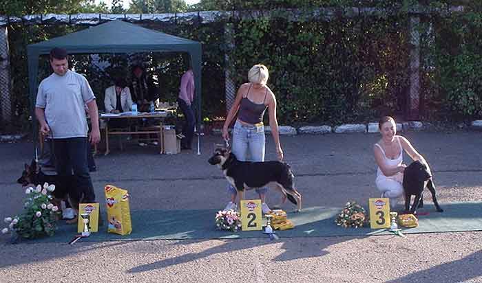 �� ��������