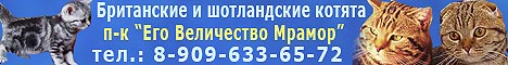���������� � ����������� ������ ��������� �������, �������� ��� ���������� ������ ���.8-909-633-65-72.