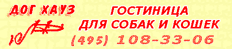 ��� ���� - ���������� ����� � �����