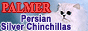 Persian Silver Chinchillas Palmer