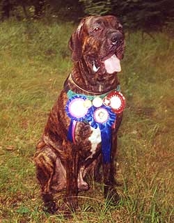 ���� ����������.