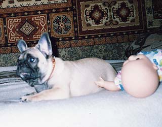 ����������� �������.