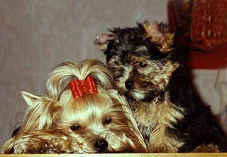 ����������� ������