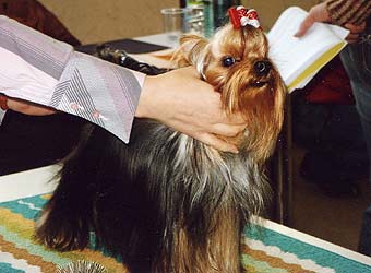 ����������� ������