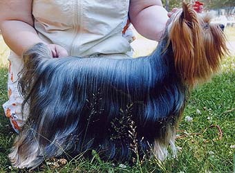 ����������� ������