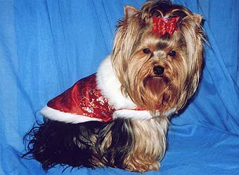 ����������� ������