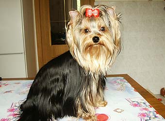 ����������� ������