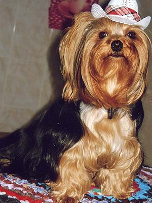 ����������� ������