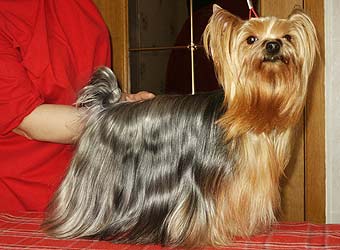 ����������� ������