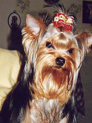 ����������� ������