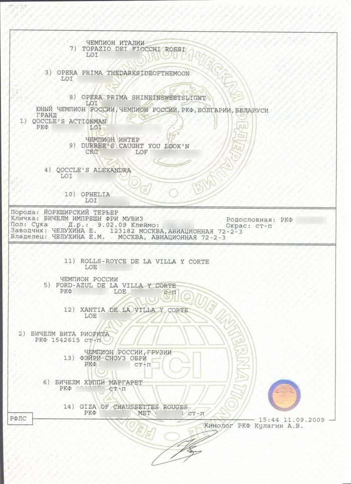 ����������� ������