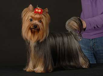 ����������� ������