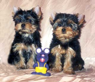 ����������� ������