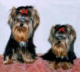 ����������� ������