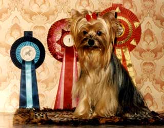 ����������� ������