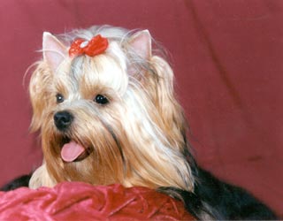 ����������� ������