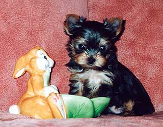 ����������� ������