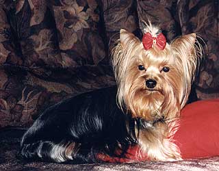 ����������� ������