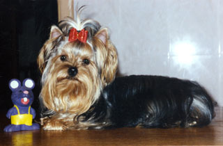 ����������� ������