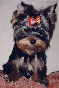 ����������� ������