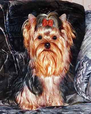 ����������� ������