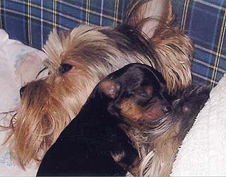 ����������� ������