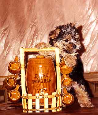 ����������� ������