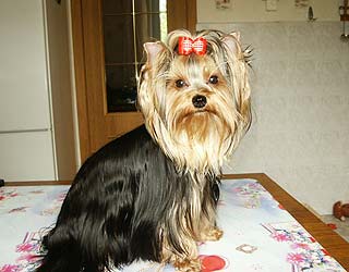 ����������� ������