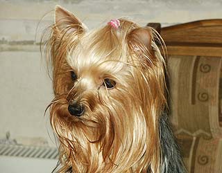 ����������� ������