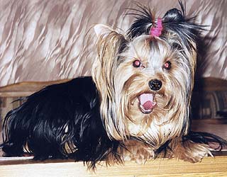 ����������� ������