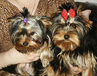 ����������� ������