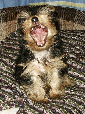 ����������� ������