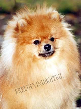 ����������� ����. ������ �� ������� ������. ������� ������.