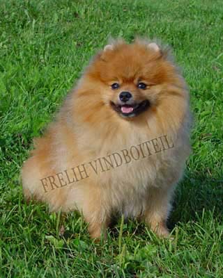 ����������� ����. ������ �� ������� ������. ������� ������.