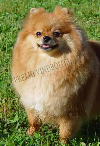 ����������� ���� ���� �������. ������� �� ������� ������.