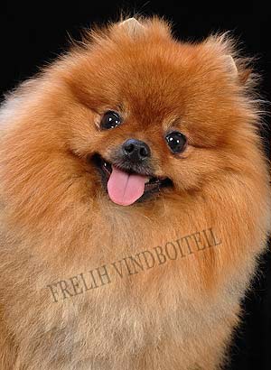 ����������� ����.