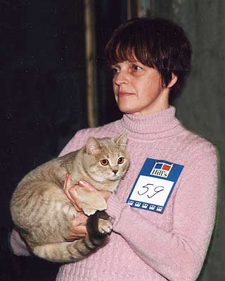 ���������� ����� �����