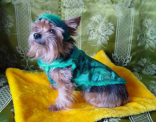 ����������� ������.