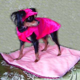 ������� ��� ������.