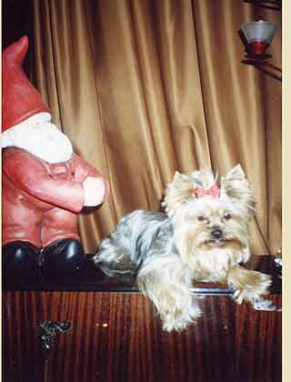 ����������� �������.