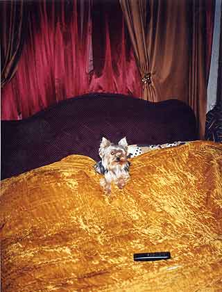 ����������� �������.